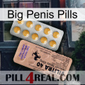 Big Penis Pills 41